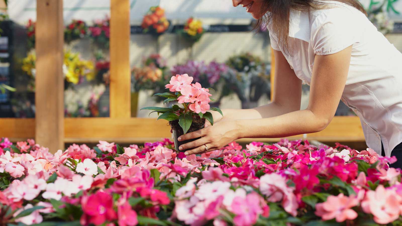 A Nest for All Seasons